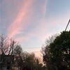 michaelam919